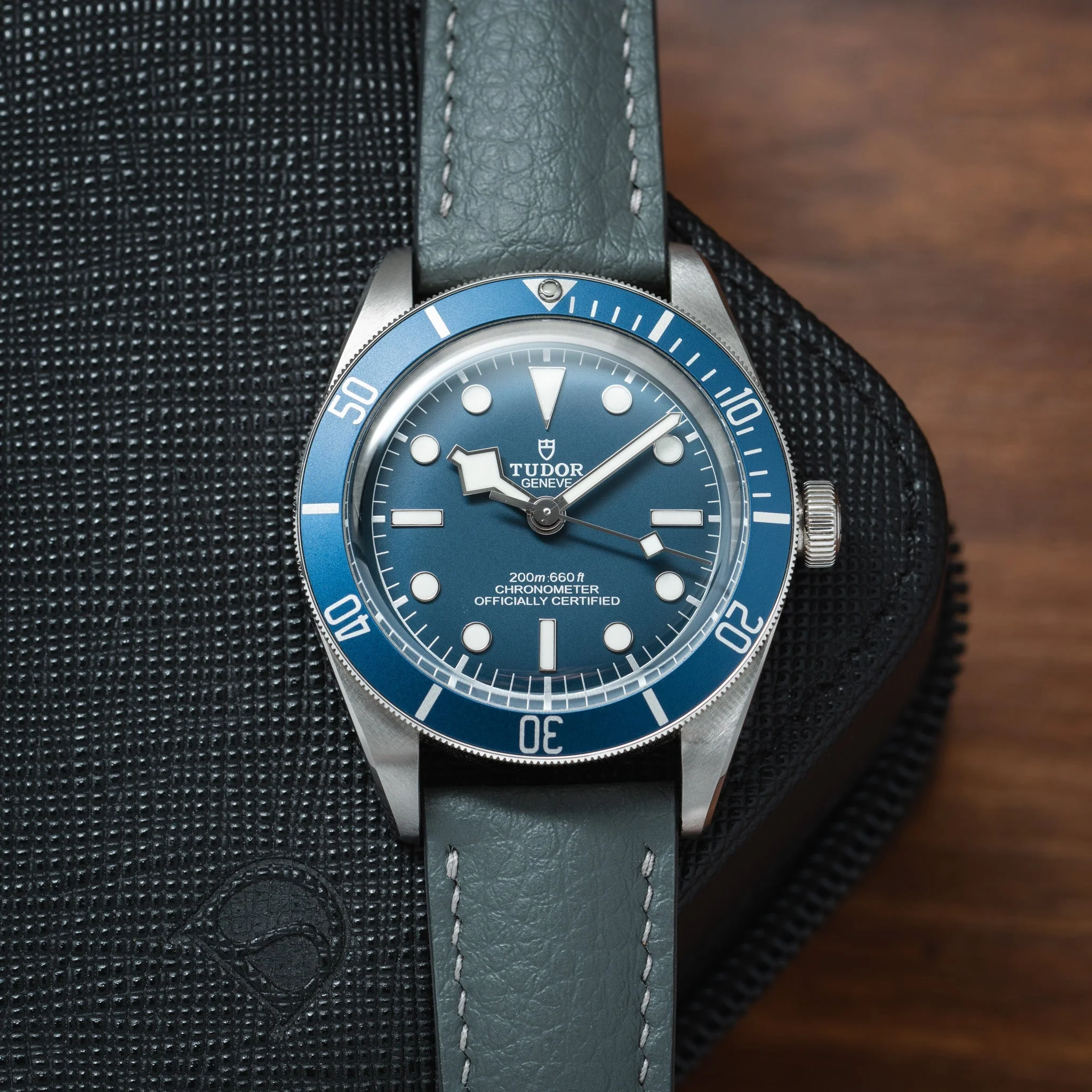 Grey Rubberised Leather (Togo) Signature Strap - Image 2